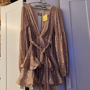 Rose Gold Sequin Dress